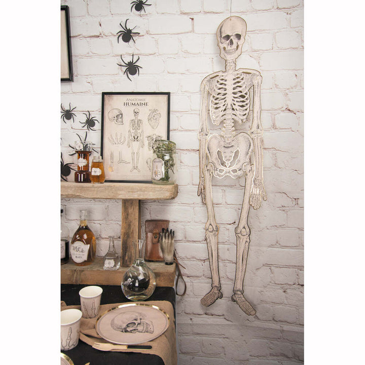 2 affiches anatomie humaine et plante - Cabinet de curiosités,Farfouil en fÃªte,Décorations