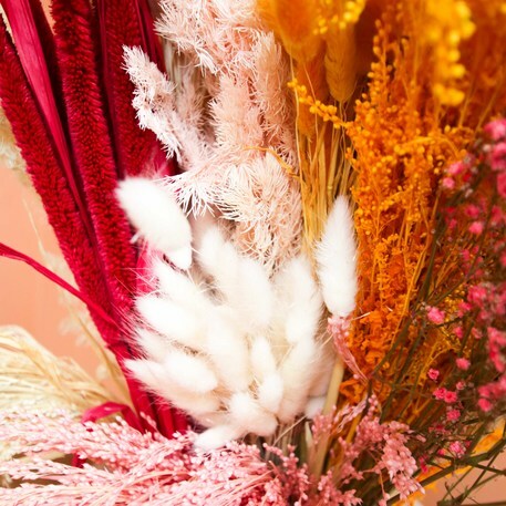 Bouquet de 50 branches de plumeaux Lagurus blanc 75 cm,Farfouil en fÃªte,Fleurs séchées