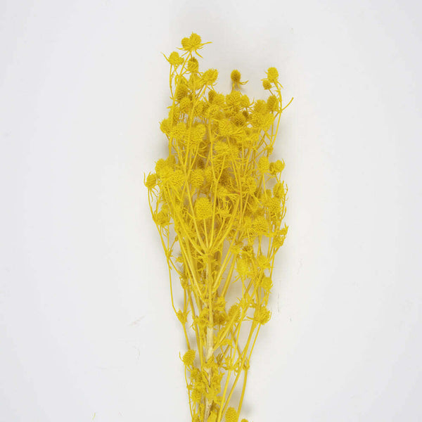 Bouquet de chardons séchés jaune moutarde 60 cm,Farfouil en fÃªte,Fleurs séchées