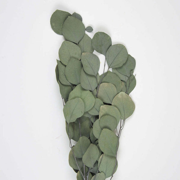 Bouquet de feuillage de pommier vert 60 cm,Farfouil en fÃªte,Fleurs séchées