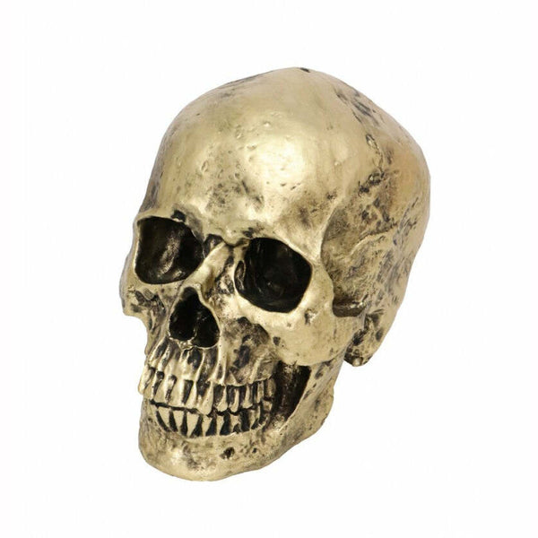 Crâne bonze en résine 18 cm,Farfouil en fÃªte,Décorations