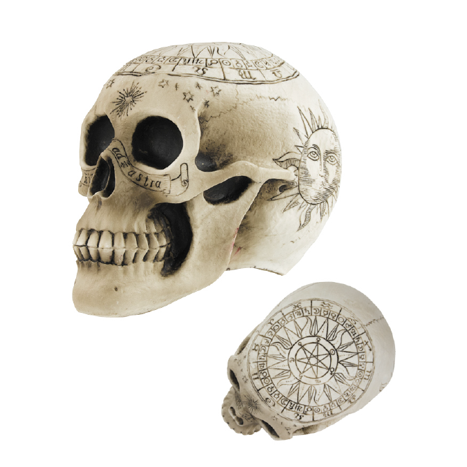 Crâne squelette pentagramme 20 cm,Farfouil en fÃªte,Décorations