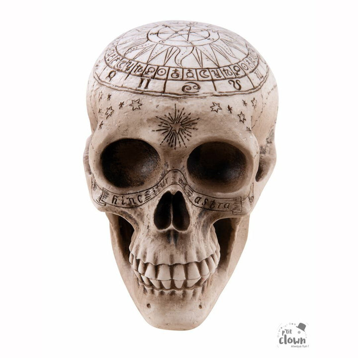 Crâne squelette pentagramme 20 cm,Farfouil en fÃªte,Décorations