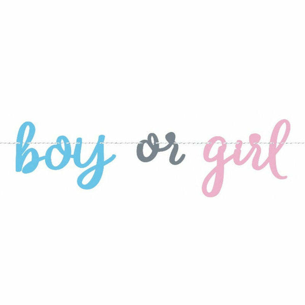 Guirlande Boy or Girl Gender Reveal 213 cm,Farfouil en fÃªte,Guirlandes, fanions et bannières