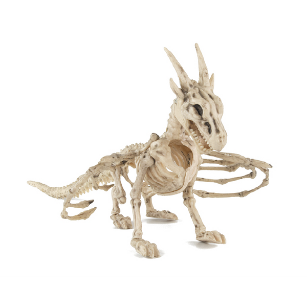 Squelette de dragon 35 cm,Farfouil en fÃªte,A definir