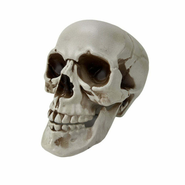 Crâne en plastique réaliste avec mâchoire mobile 20 cm x 15 cm x 15 cm,Décorations,Farfouil_en_fete